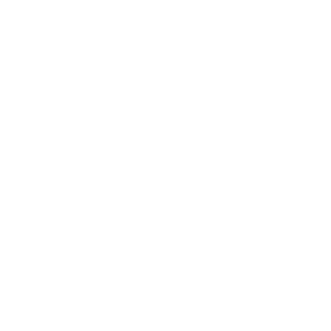 Betsson Casino Logo Review