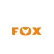 Crazy Fox Casino Logo Review